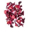 image_2 Organic Raw Hibiscus Dry