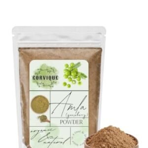 31xjcYRSiL Gorvique's Pure Amla Powder 100g For Hair Care | 100% Natural, No Preservatives